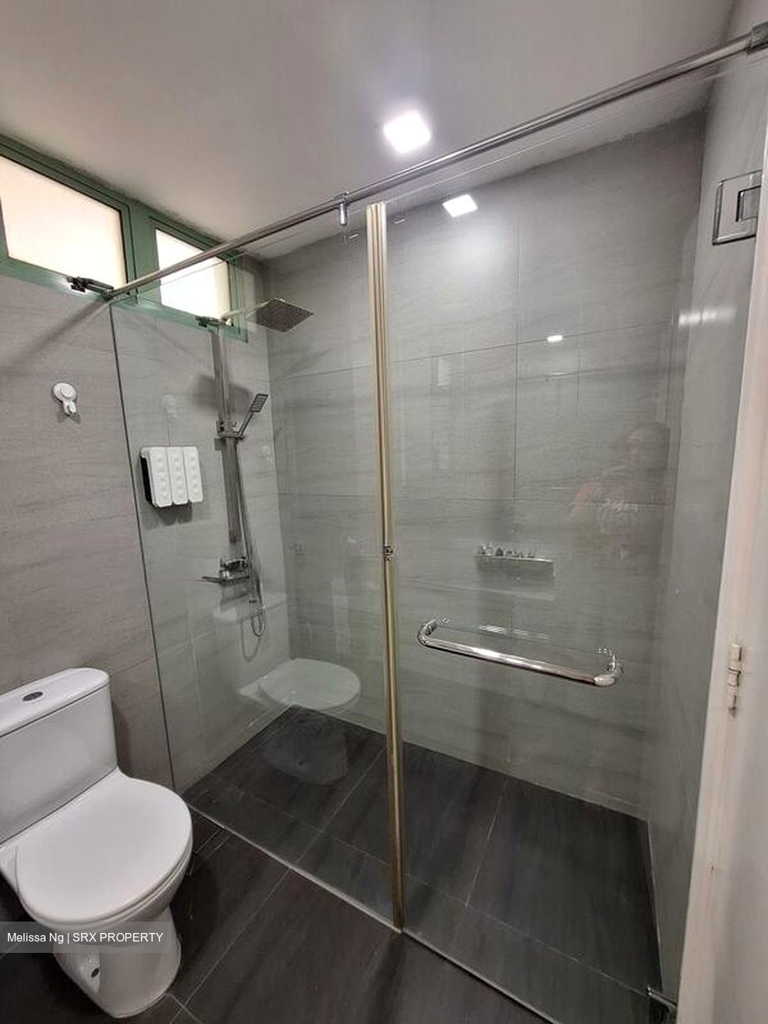 Hillview Park (D23), Condominium #496697731